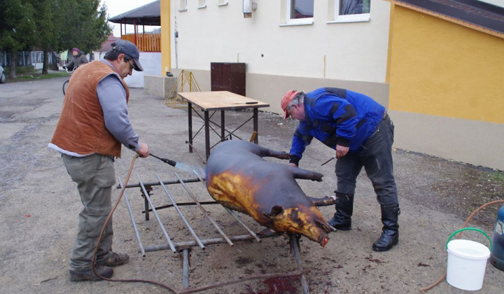 Fašiangová zabíjačka 2018  Fašiangová zabíjačka 2018