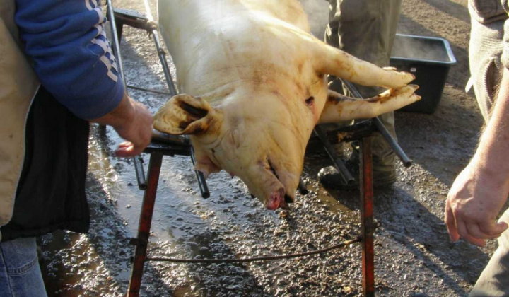 Zobraziť fotografiu