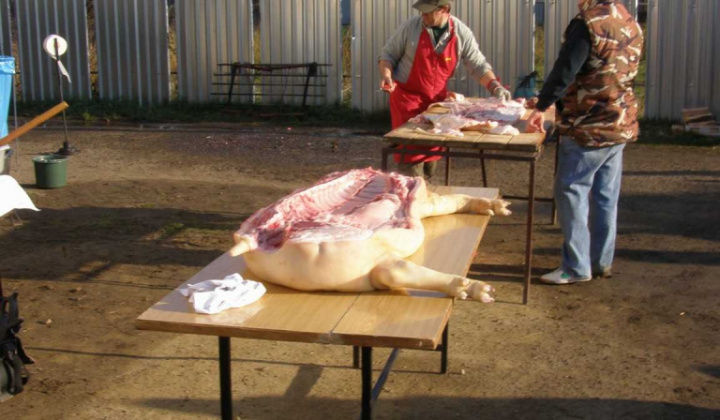 Zobraziť fotografiu