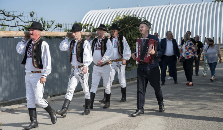 Zobraziť fotografiu