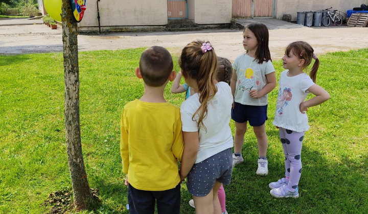 Zobraziť fotografiu