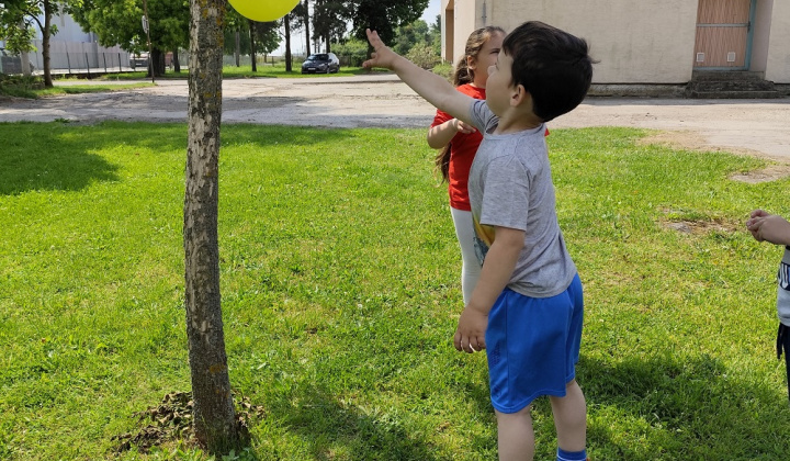 Zobraziť fotografiu
