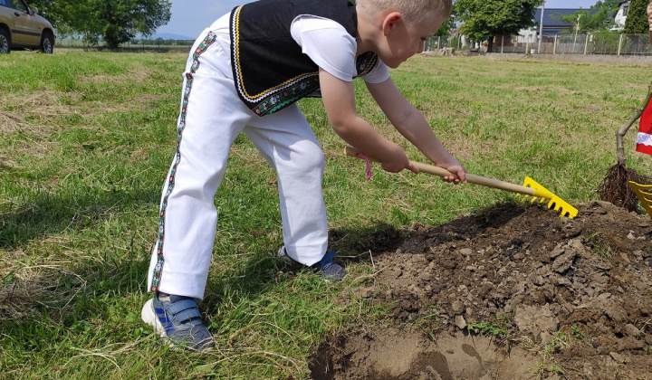 Zobraziť fotografiu