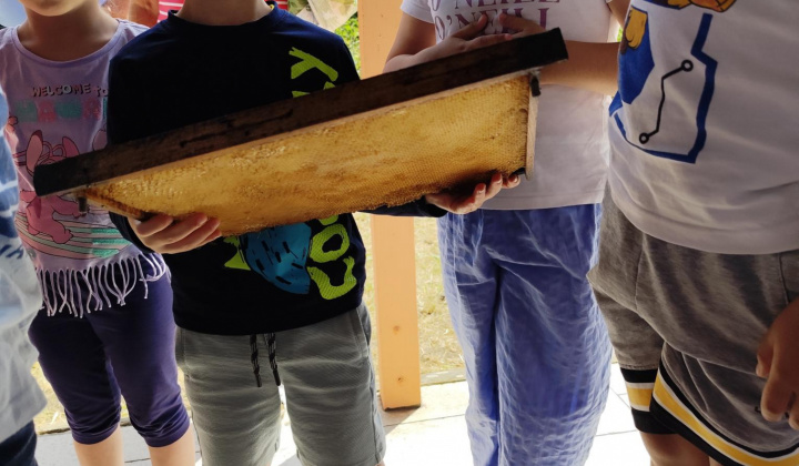 Zobraziť fotografiu